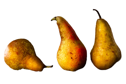 The Fruit Market Logo